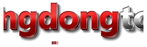dingdongtoto